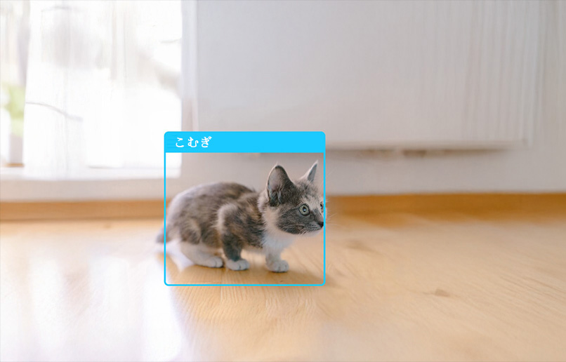 安心ねころ便（ねころびん）