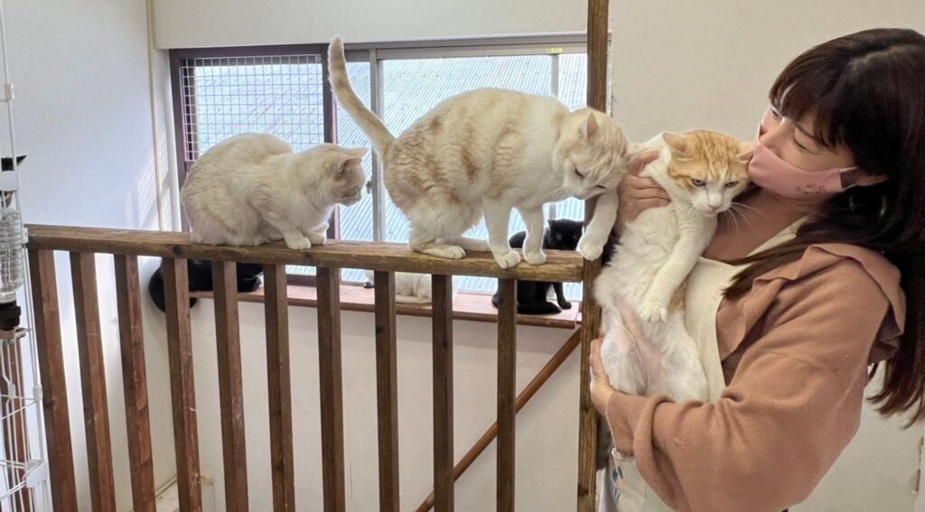 ねころば|ねころび