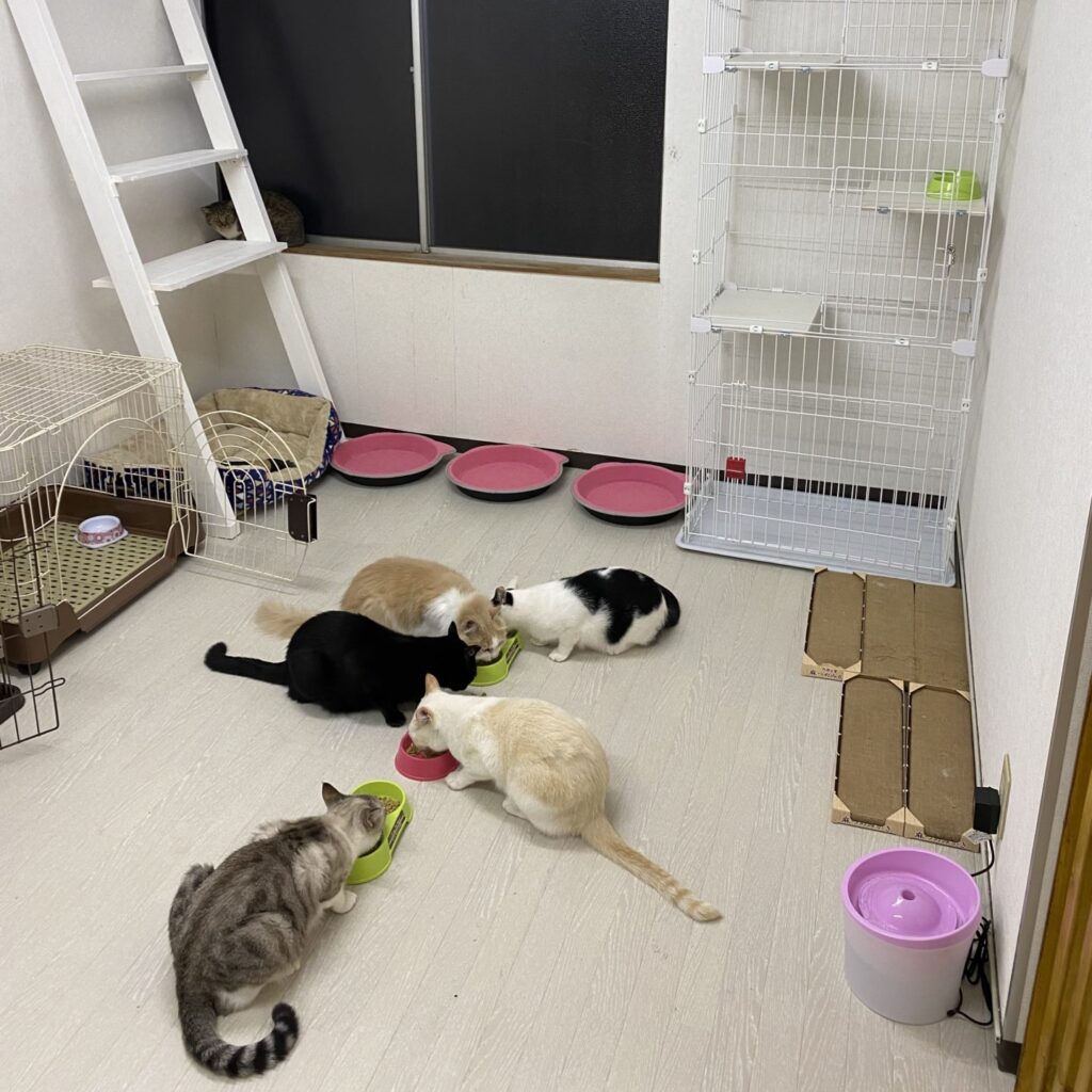 ねころば|ねころび