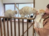 ねころば｜ねころび